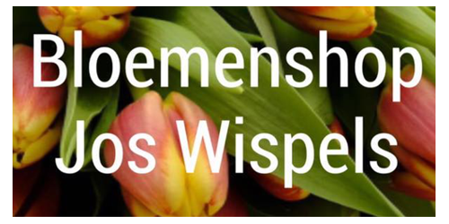 Bloemenshop Wispels
